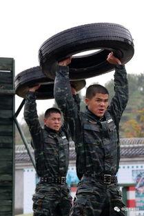 军礼动态表情包,动态表情包中的军人风采