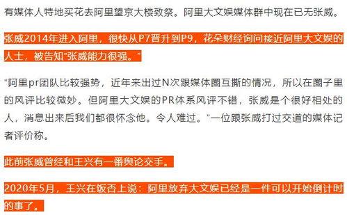 阿里娱乐公关总监,品牌传播背后的智慧与策略